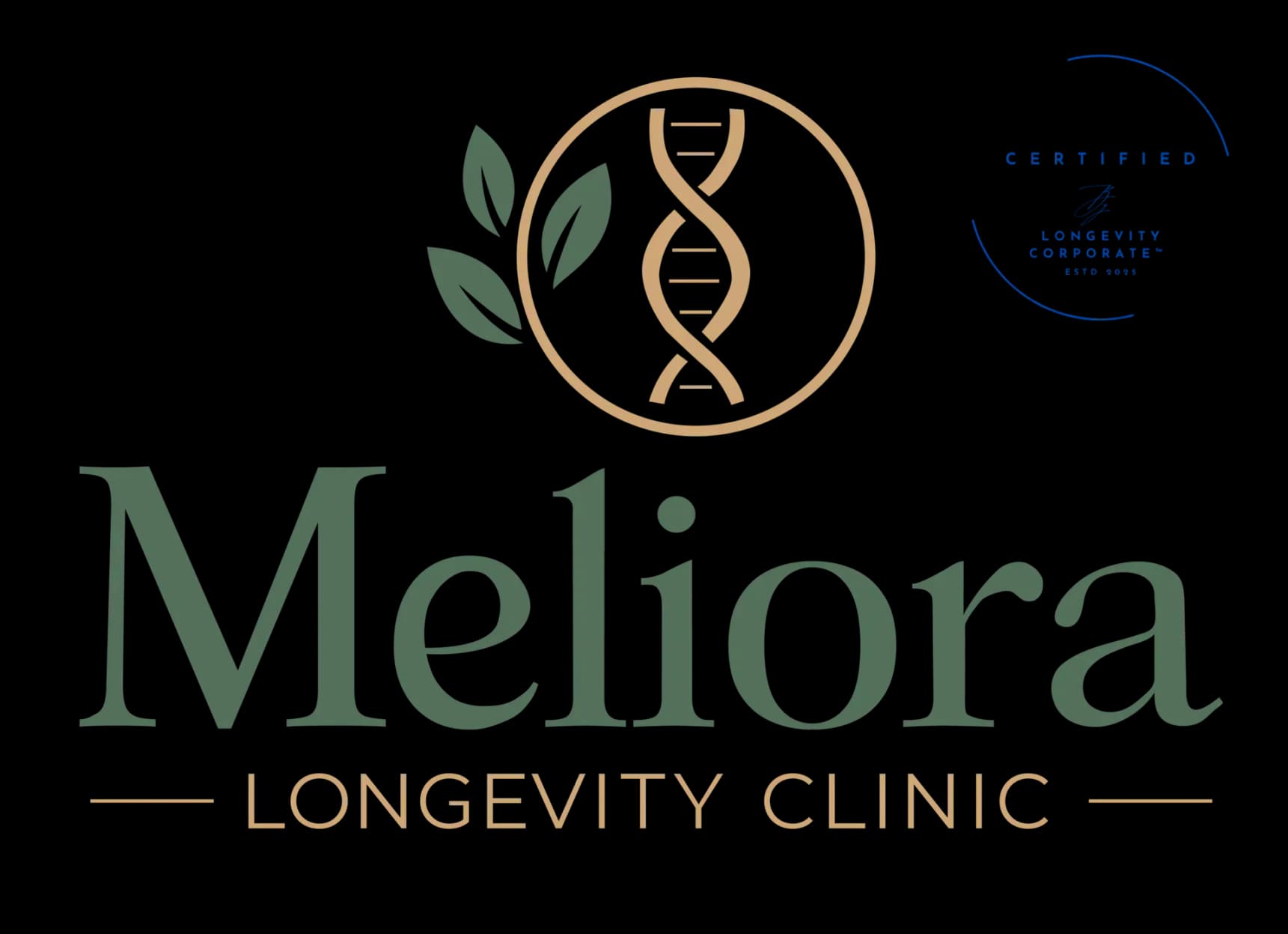 Meliora Longevity Clinic by Dr. Papp Ildikó